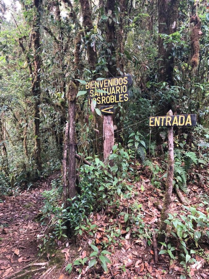 Cabana De Montana La Magnolia, Cerro De La Muerte De La Canuela Cloud Forest Tres de Junio Exterior photo